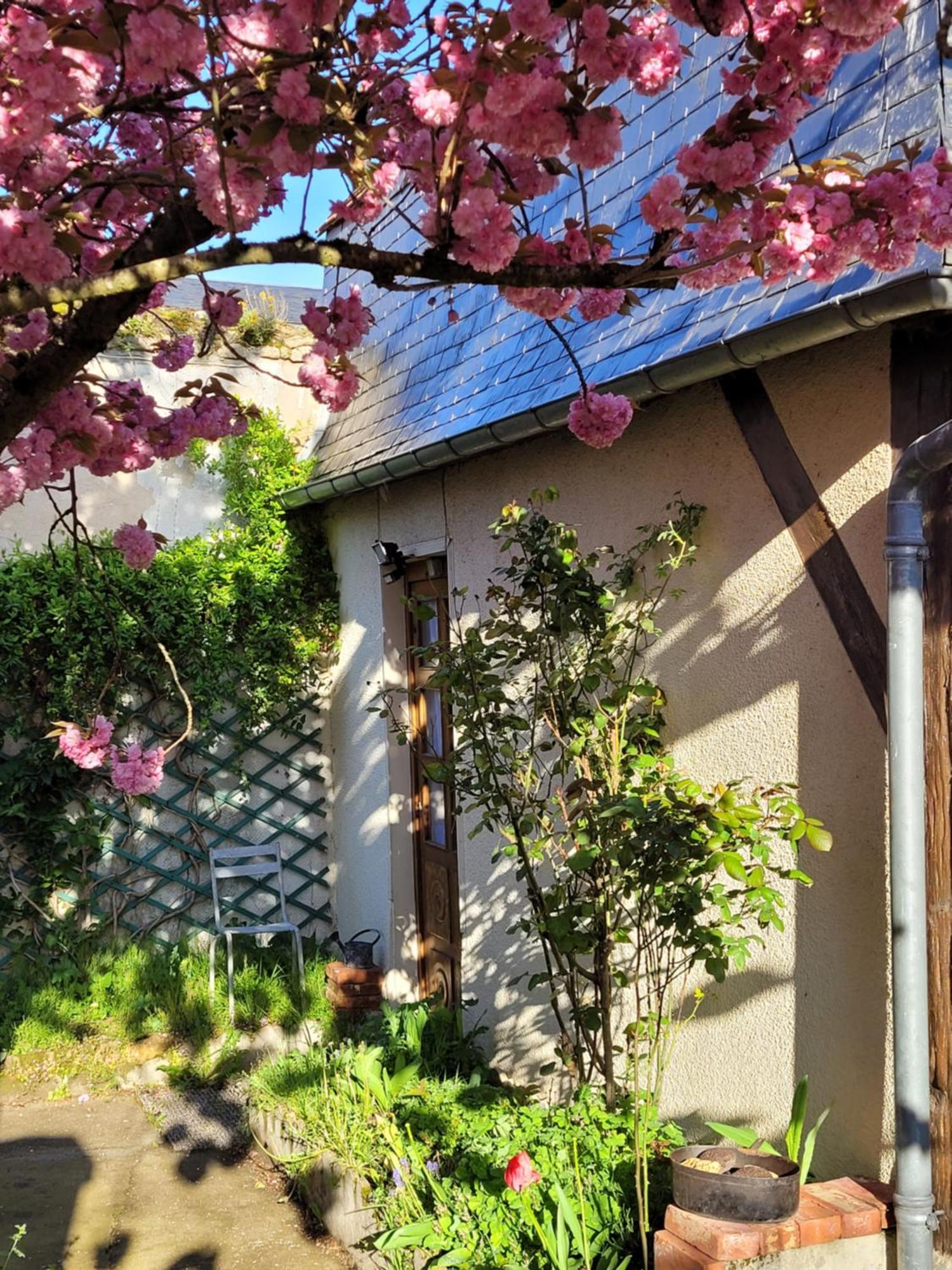 La Cour Du Chateau La Charité-sur-Loire Exteriör bild